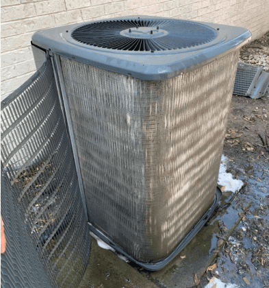Mold and Debris Removal